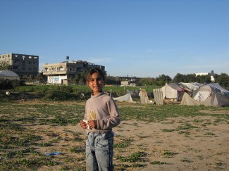 Gaza. Displaced persons.