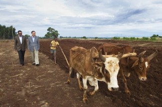 Ethiopia agriculture - source UN Eskinder Debebe