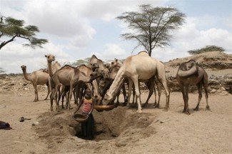 Water and food security - FAO