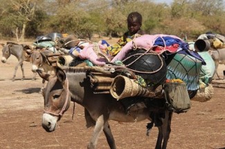 Mali drought - source WFP