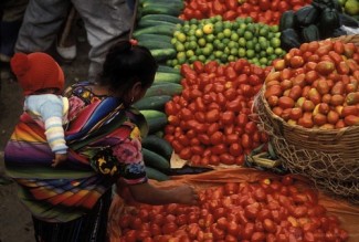 Food market - World Bank