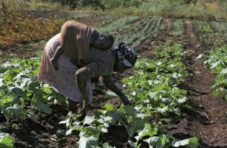 Woman wiht child  Zimbabwe - Un archive