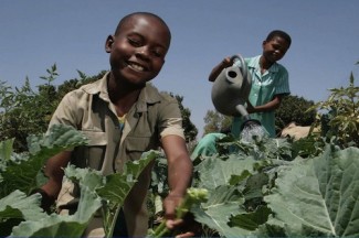 Children Zimbabwe- UNICEF