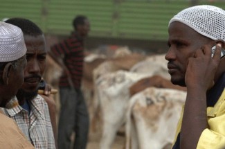 Kenya traders livestock - FAO