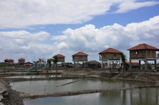 Bangladesh - disaster resilient village - UNDP